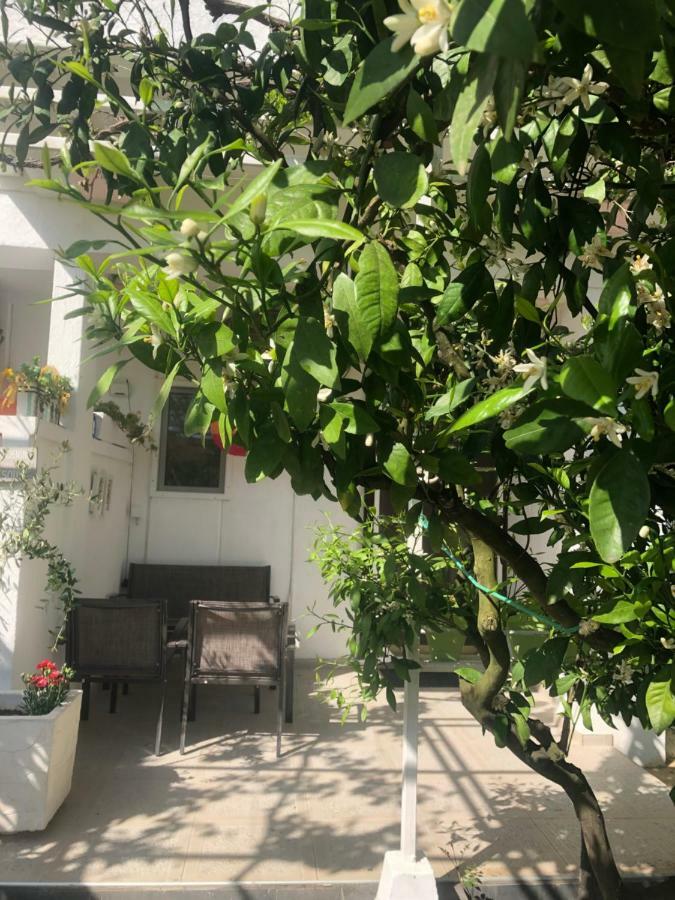 Apartments Mia Patria Ulcinj Zewnętrze zdjęcie