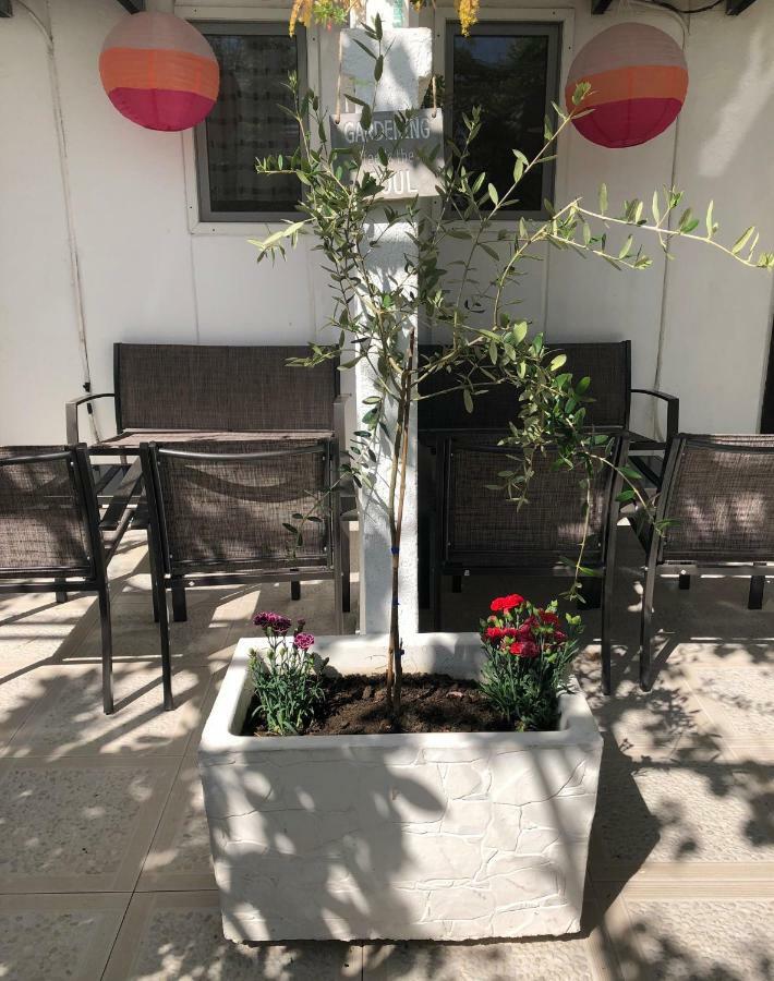 Apartments Mia Patria Ulcinj Zewnętrze zdjęcie