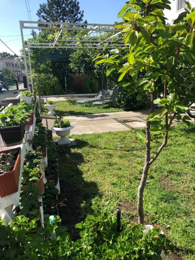 Apartments Mia Patria Ulcinj Zewnętrze zdjęcie